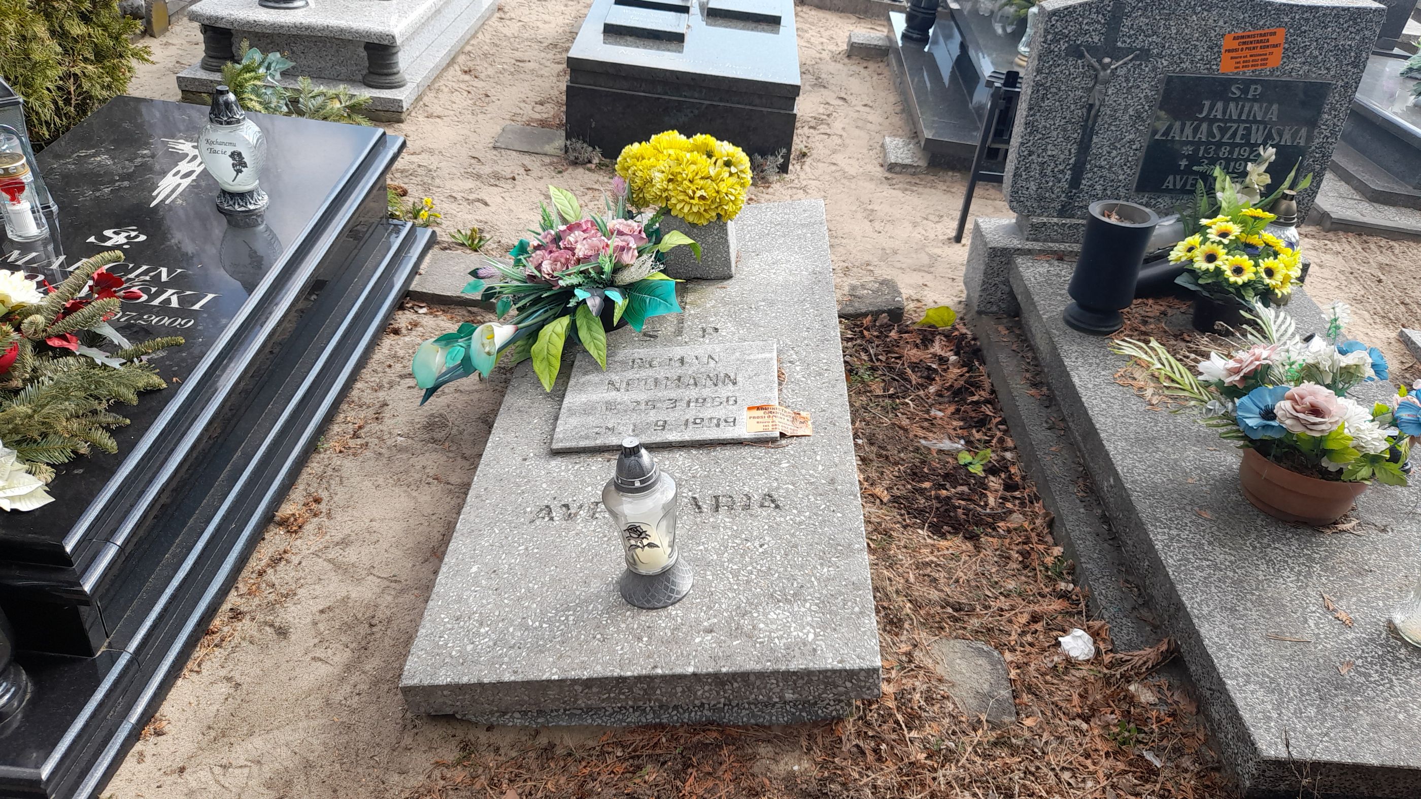 Grób Roman Neumann