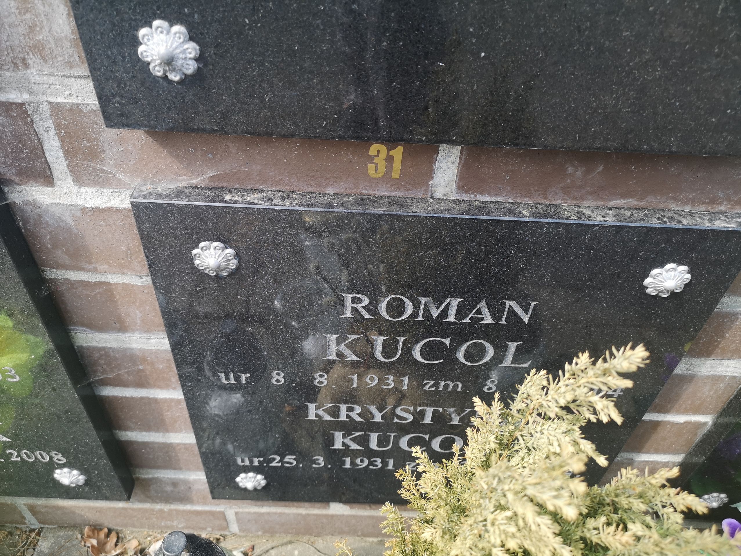 Grób Krystyna Kucol