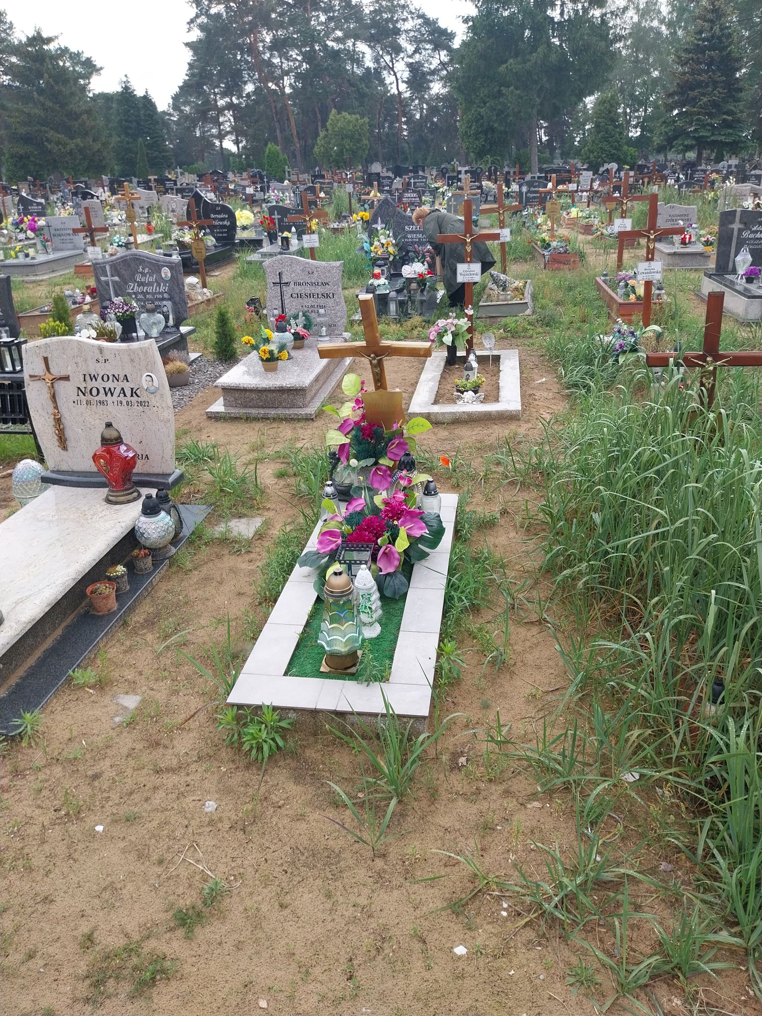 Grób Zdzisław Wysocki