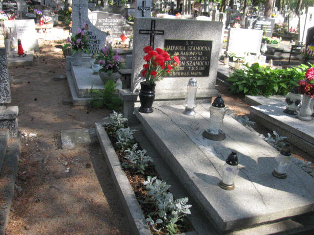 Grób Jadwiga Szamocka