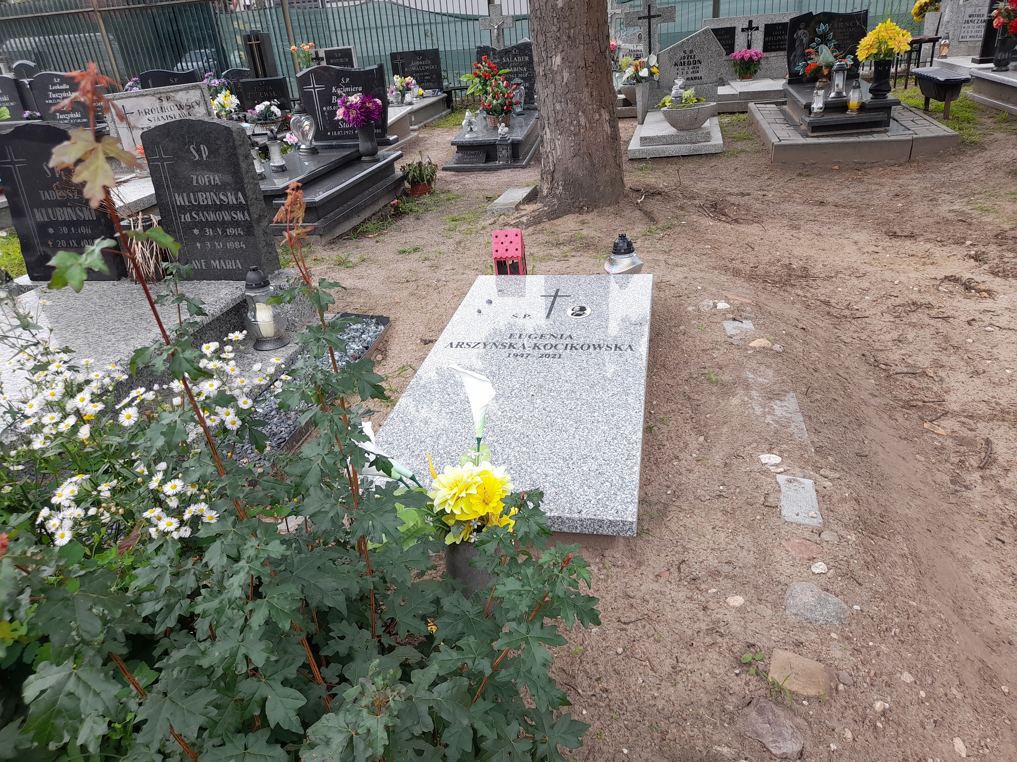 Grób Zoja Arszyńska
